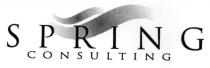 SPRING CONSULTING