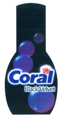 Coral Black Velvet