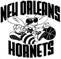 NEW ORLEANS HORNETS