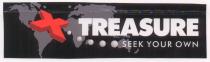 TREASURE X SEEK YOUR OWN