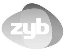 ZYB