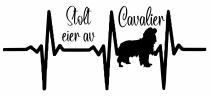 Stolt eier av Cavalier