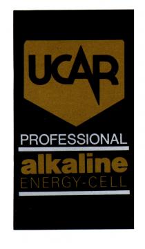UCAR PROFESSIONAL alkaline ENERGY-CELL