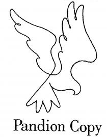 Pandion Copy