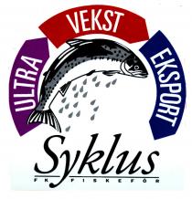 Syklus