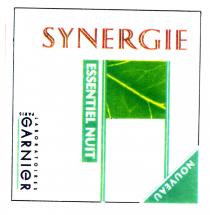 GARNIER SYNERGIE ESSENTIEL NUIT