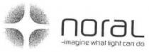 noraL imagine what light can do