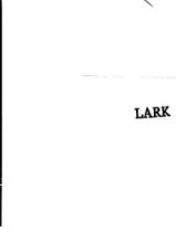 LARK