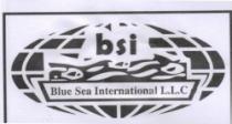 BLUE SEA INTERNATIONAL