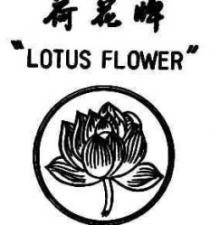 LOTUS FLOWER