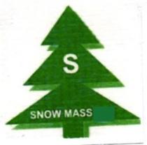 S SNOW MASS LLC