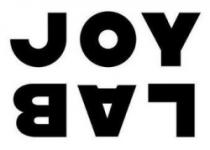 JOY LAB