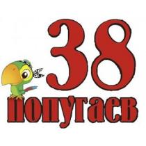 38 попугаев