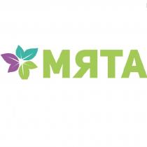 МЯТА