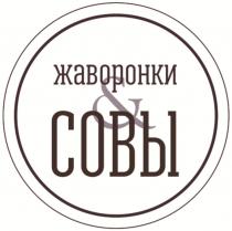 ЖАВОРОНКИ & СОВЫ