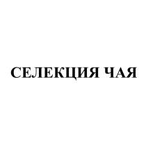 СЕЛЕКЦИЯ ЧАЯ