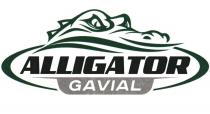 ALLIGATOR GAVIAL