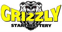 GRIZZLY START BATTERY