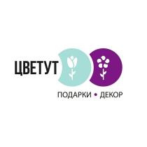 ЦВЕТУТ ПОДАРКИ ДЕКОР