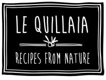 Le quillaia recipes from nature