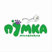 П МКА маленькая