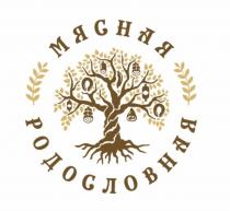МЯСНАЯ РОДОСЛОВНАЯ