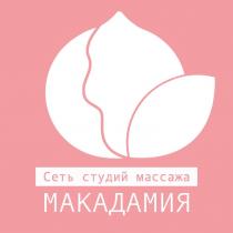 МАКАДАМИЯ