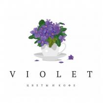 VIOLET