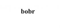 Обозначение представляет собой исполненное буквами латинского алфавита фантазийное слово «bobr» (транслитерация буквами русского алфавита: «бобр»).