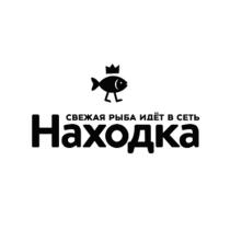 СВЕЖАЯ РЫБА ИДЕТ В СЕТЬ Находка