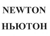 NEWTON НЬЮТОН