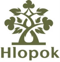 Hlopok