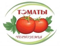 ТОМАТЫ ЧЕРНОЗЕМЬЯ