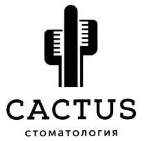 CACTUS СТОМАТОЛОГИЯ