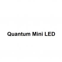 Quantum Mini LED