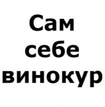 Сам себе винокур