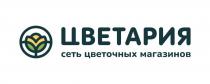 Словесный элемент «сеть цветочных магазинов» включен в состав обозначения как неохраняемый и располагается под словесным элементом «ЦВЕТАРИЯ».