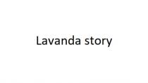 Lavanda story