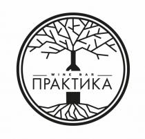 WINE BAR ПРАКТИКА