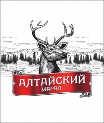 Алтайский марал