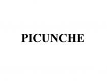 PICUNCHE