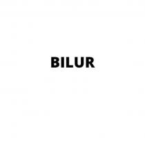 Латинскими заглавными буквами BILUR