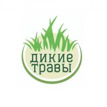 дикие травы