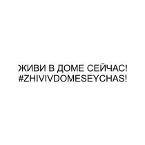 ЖИВИ В ДОМЕ СЕЙЧАС! #ZHIVIVDOMESEYCHAS!