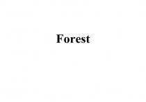 Forest