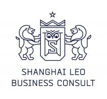 SHANGHAI LEO BUSINESS CONSULT