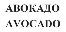 АВОКАДО AVOCADO