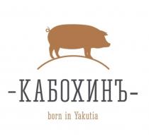 КАБОХИНЪ Born in Yakutia