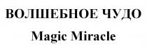 ВОЛШЕБНОЕ ЧУДО Magic Miracle