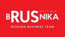 Brusnika soft power russian business team